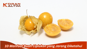 manfaat buah ciplukan